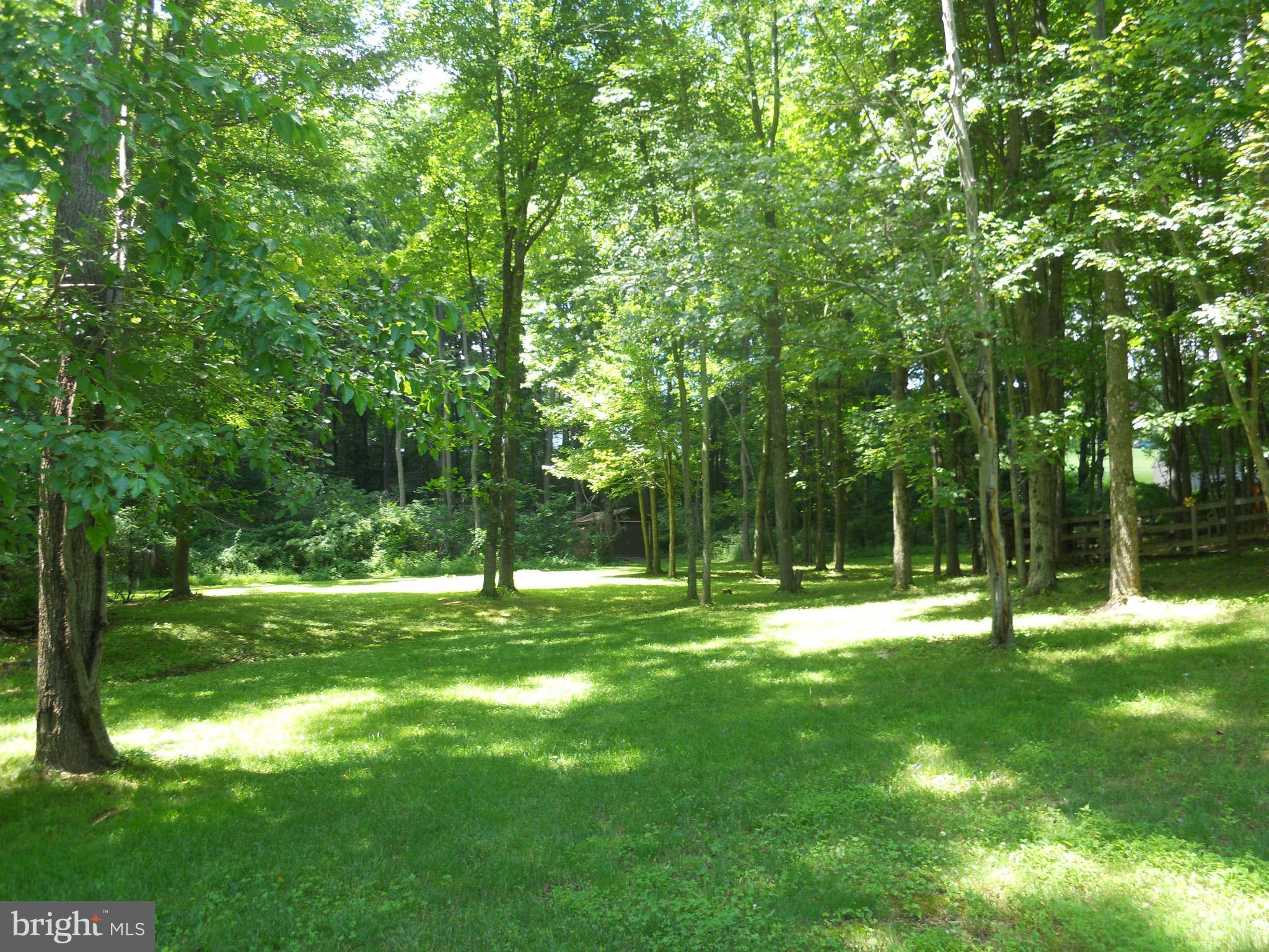 2888 Barrick Road Finksburg, MD 21048 - Photo 21 of 29 a backyard of a house with lots of green space and deers