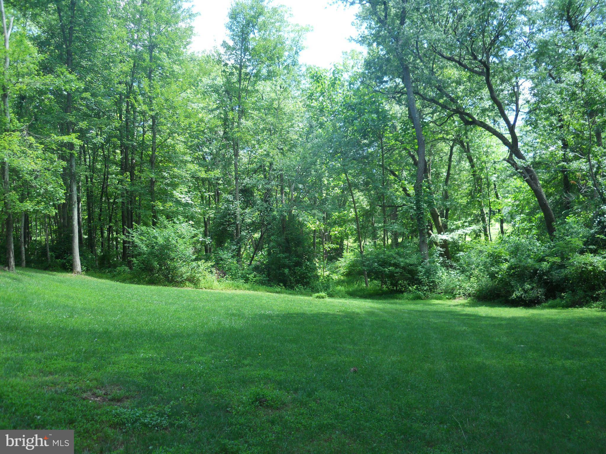 2888 Barrick Road Finksburg, MD 21048 - Photo 22 of 29 a view of a grassy field with trees in the background