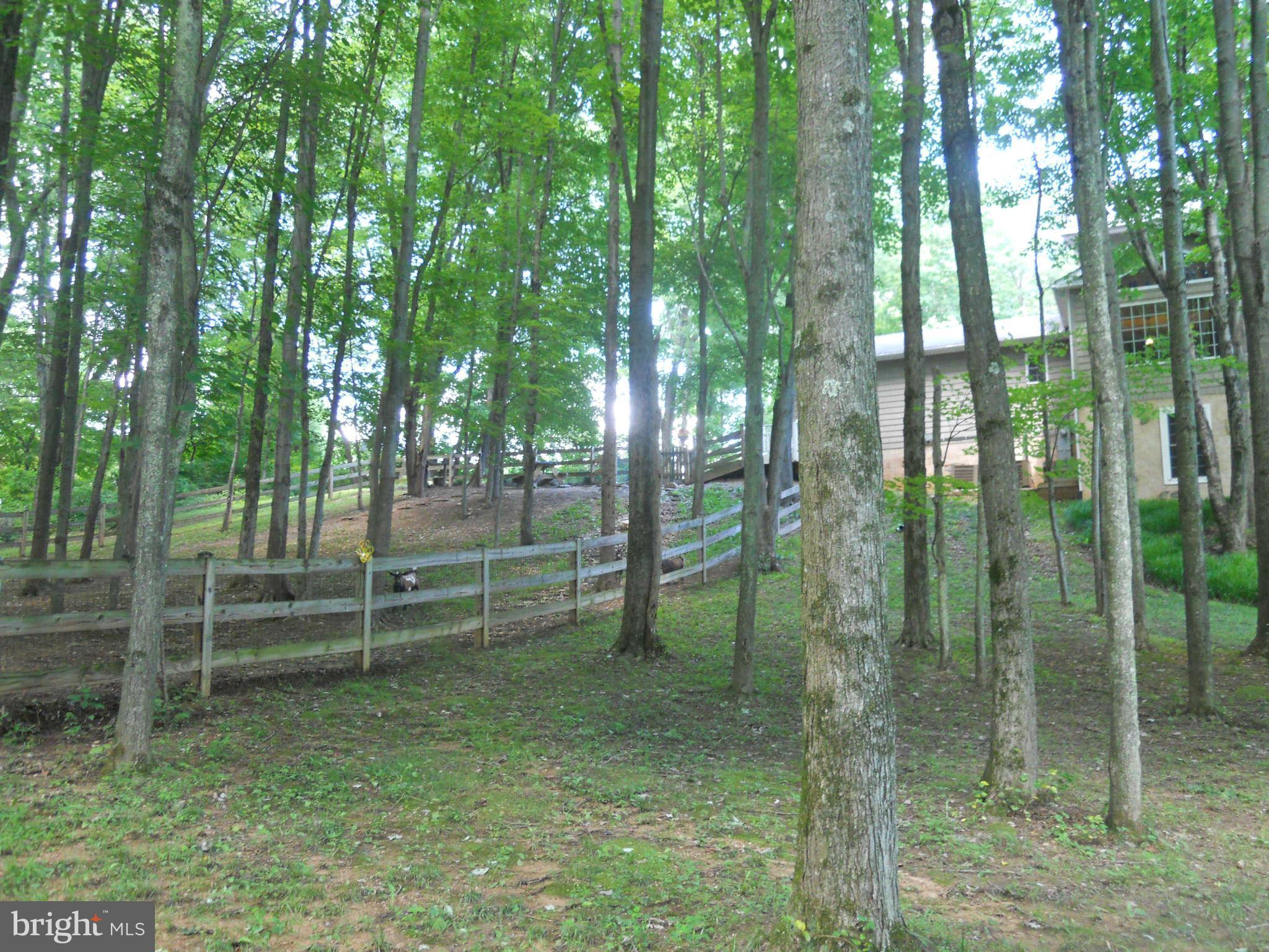 2888 Barrick Road Finksburg, MD 21048 - Photo 23 of 29 a view of outdoor space with a garden and trees