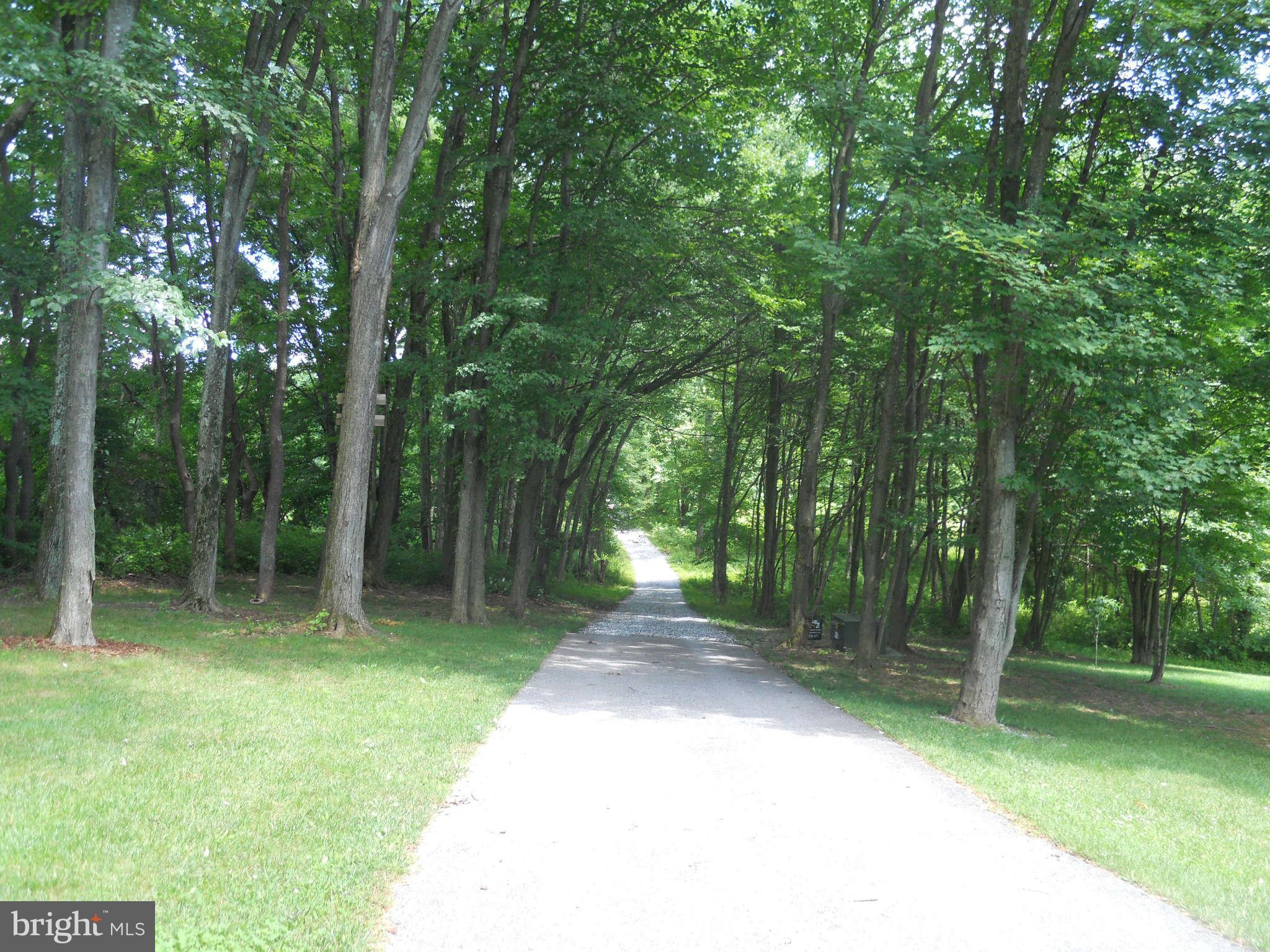 2888 Barrick Road Finksburg, MD 21048 - Photo 27 of 29 a view of a backyard with trees