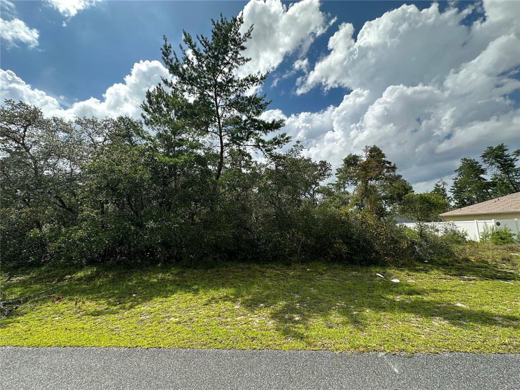 0 Southwest 172nd Lane Road Ocala, FL 34473 - Photo 1 of 1 a view of a swimming pool with a yard