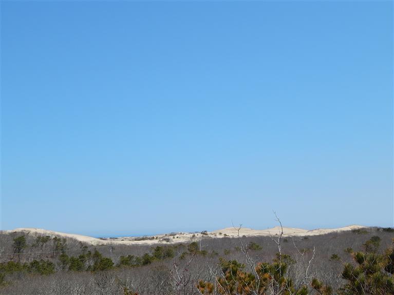 11 Thistlemore Road Provincetown, MA 02657 - Photo 23 of 29 Additional Photo