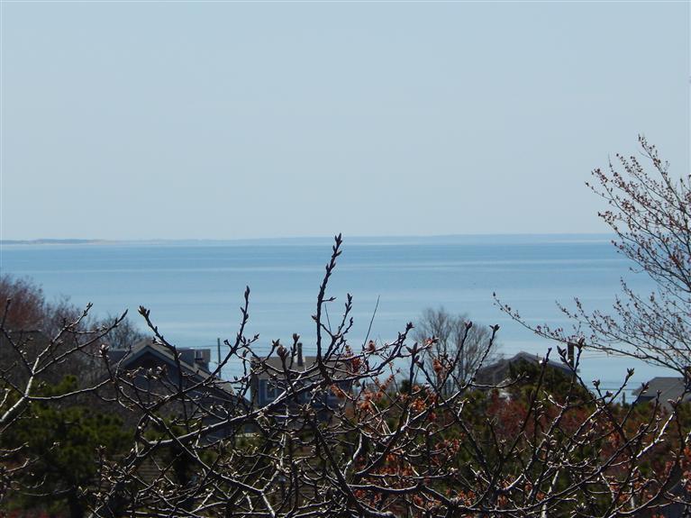 11 Thistlemore Road Provincetown, MA 02657 - Photo 24 of 29 Additional Photo