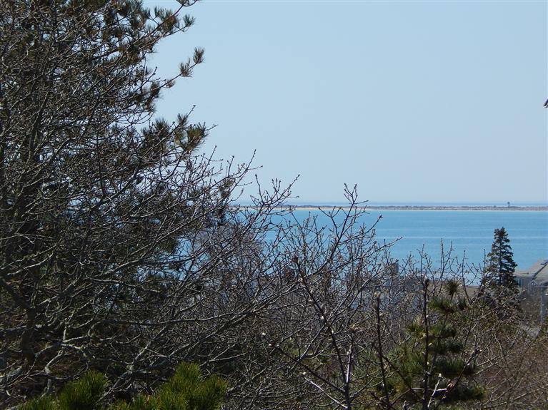 11 Thistlemore Road Provincetown, MA 02657 - Photo 25 of 29 Additional Photo