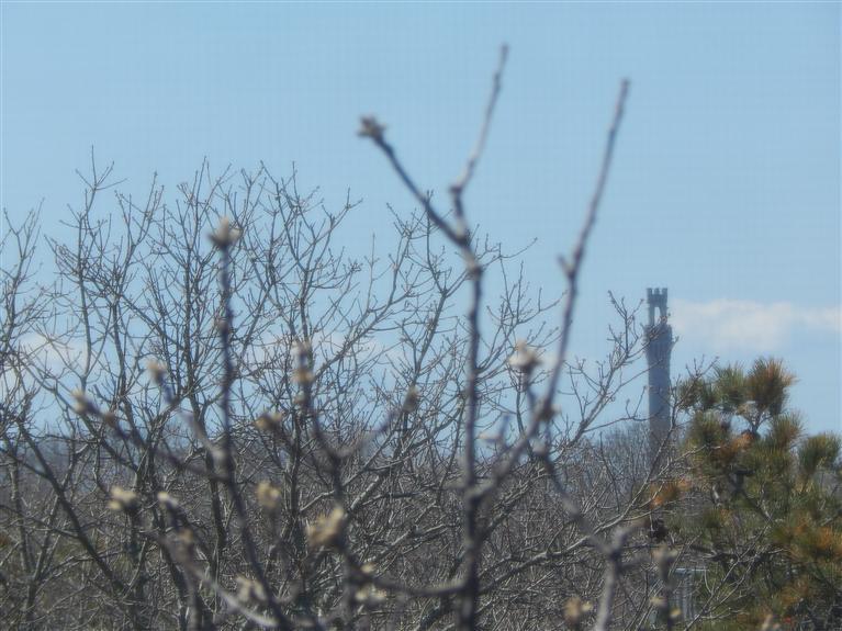 11 Thistlemore Road Provincetown, MA 02657 - Photo 27 of 29 Additional Photo