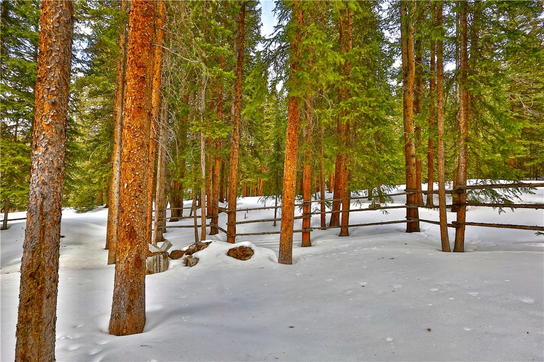 420 Range Road Breckenridge, CO 80424 - Photo 23 of 24 Gallery Image 23