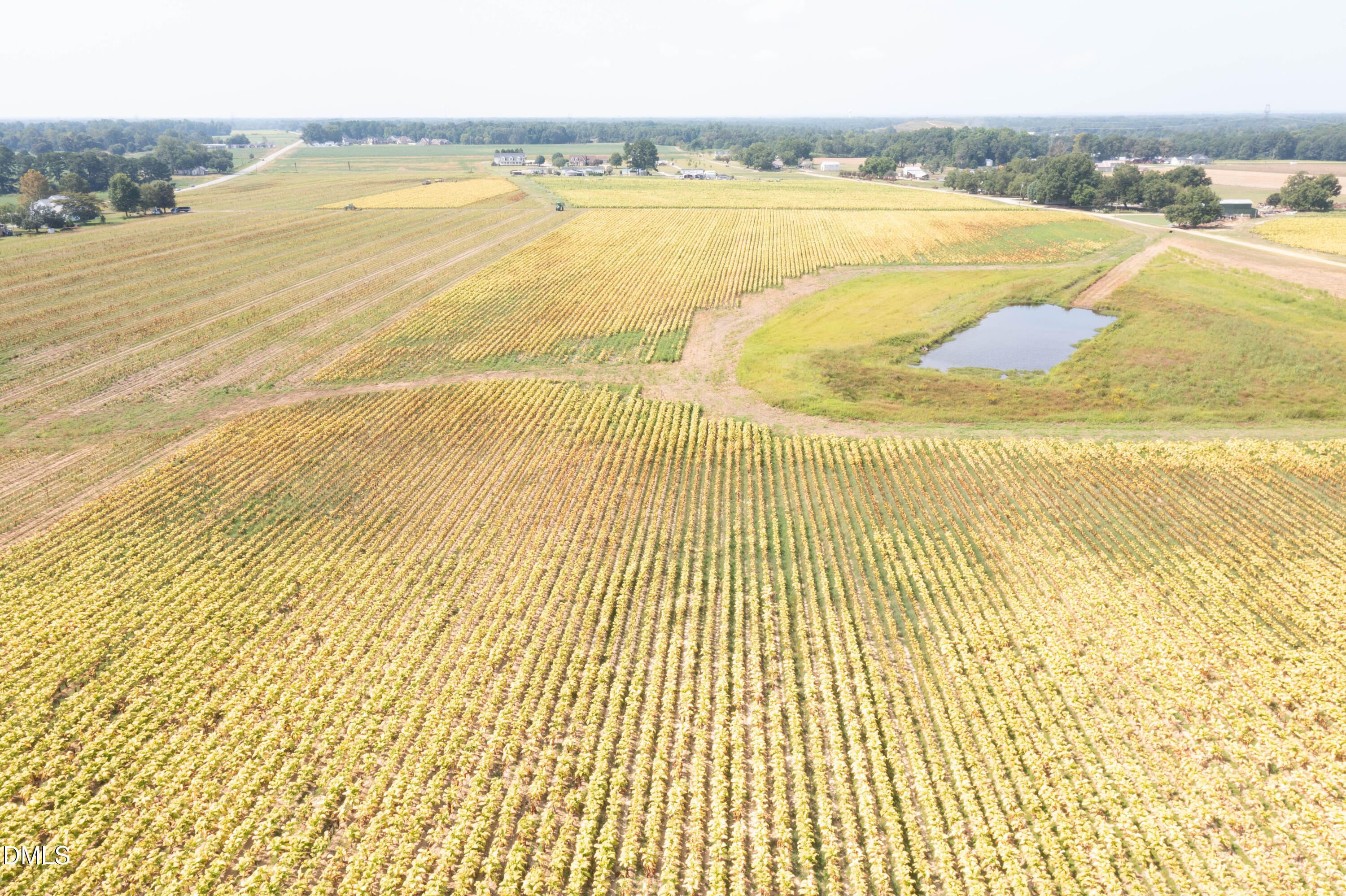 0 Red Hill Church Road Coats, NC 27521 - Photo 27 of 29 DJI_0707
