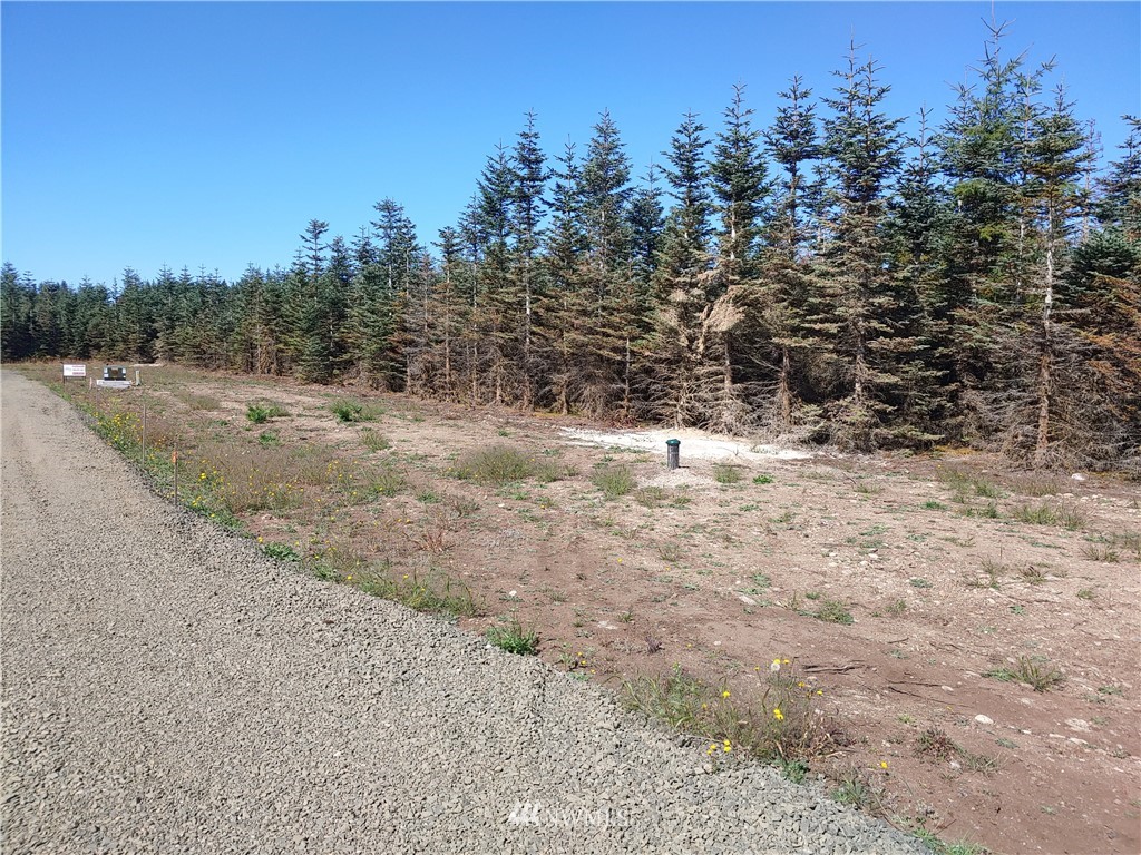 19 Middle Satsop Road Montesano, WA 98563 - Photo 1 of 4 Gallery Image 1