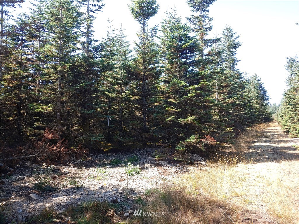 19 Middle Satsop Road Montesano, WA 98563 - Photo 2 of 4 Gallery Image 2