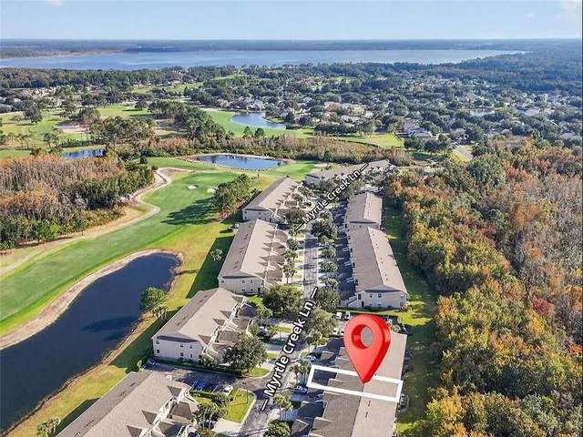 a view of a swimming pool with palm trees