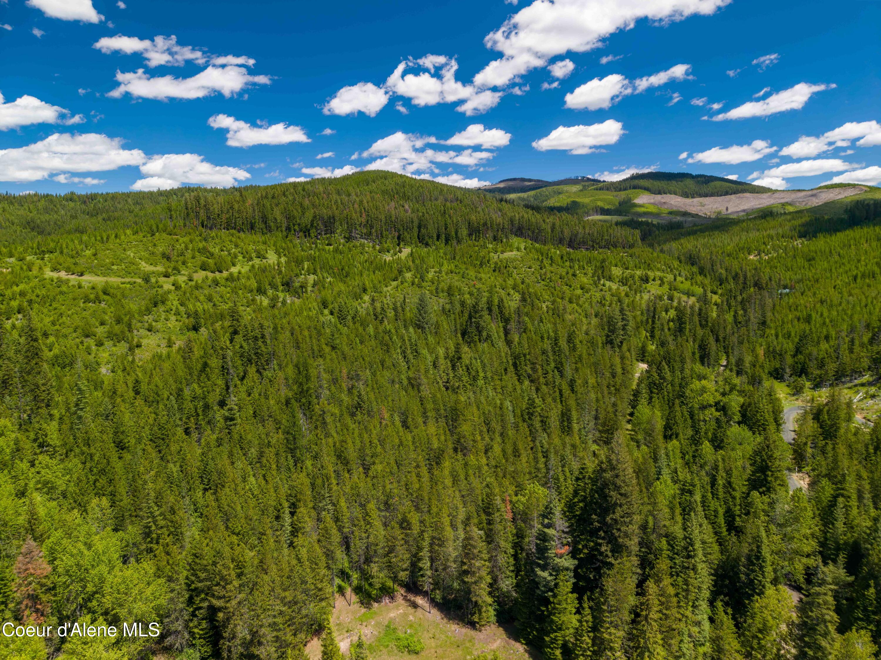 1314 Finn Creek Road Fernwood, ID 83830 - Photo 7 of 23 June 11 2026 (11 of 20)