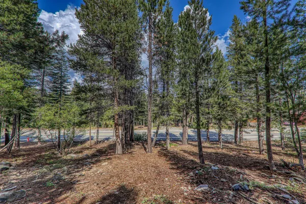 a view of outdoor space with trees