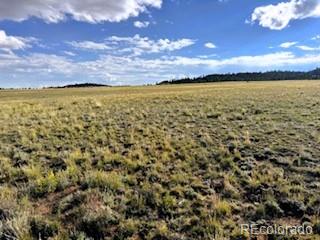 599 Summit Road Hartsel, CO 80449 - Photo 8 of 9