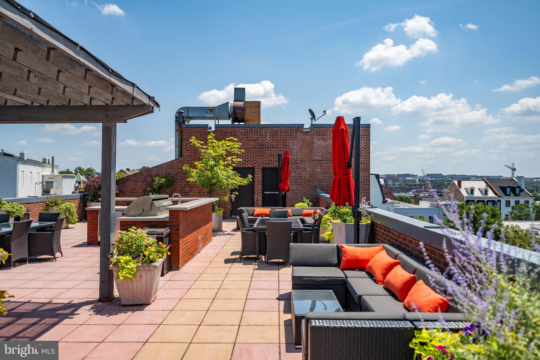 3251 Prospect Street Northwest, Unit 313 Washington, DC 20007 - Photo 2 of 43 Soaking up the summer sun