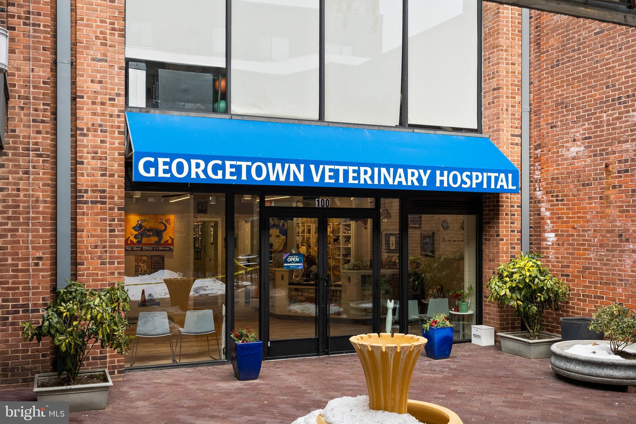 3251 Prospect Street Northwest, Unit 313 Washington, DC 20007 - Photo 38 of 43