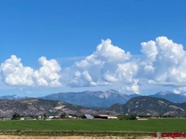 a view of a lake in middle of forest