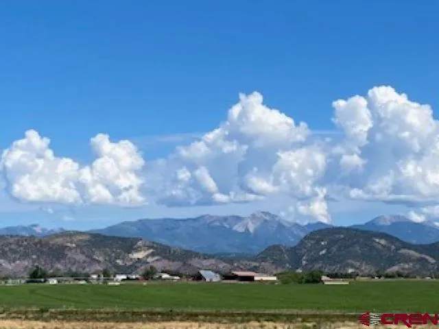 a view of a lake in middle of forest