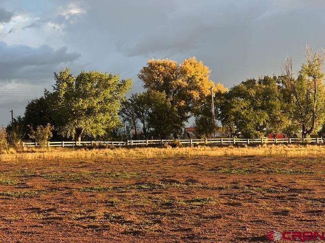 Lot 17 Entrada Del Sol Durango, CO 81303 - Photo 5 of 19 a swimming pool with trees in the background