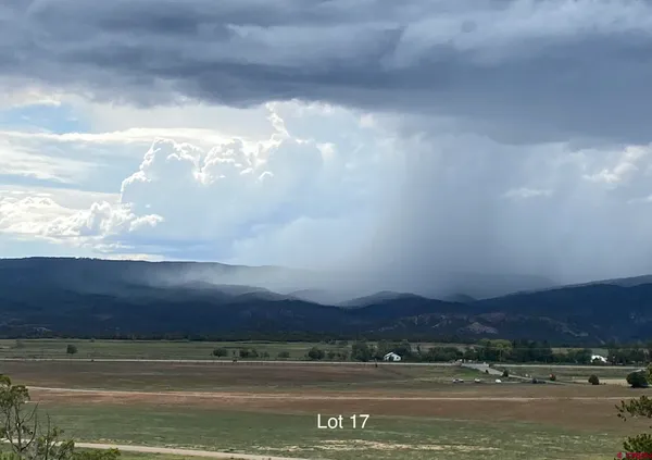 a view of city and lake