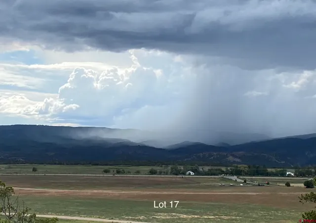 a view of city and lake