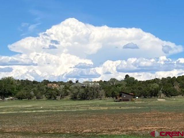 Lot 17 Entrada Del Sol Durango, CO 81303 - Photo 9 of 19 a view of grassy field with trees