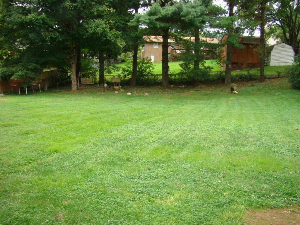 504 Pine Ridge Road Johnson City, TN 37601 - Photo 7 of 24 Level Yard