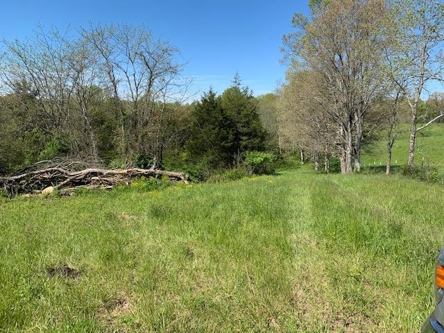 Hammond School Road Owenton, KY 40359 - Photo 4 of 11 Gallery Image 4