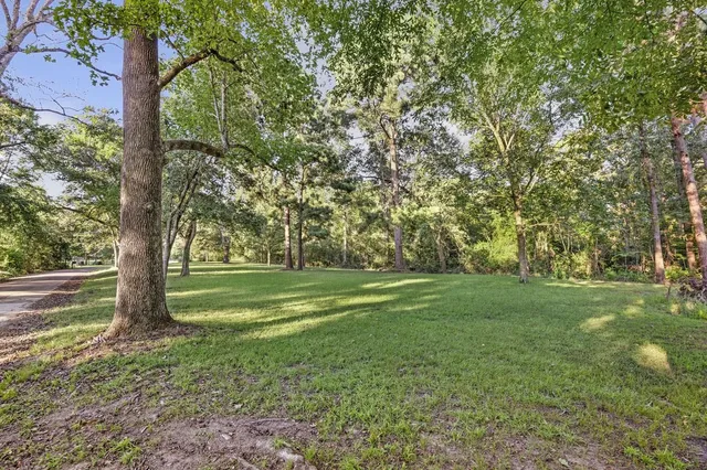 a view of a trees in a yard