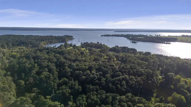 an aerial view of houses covered in trees
