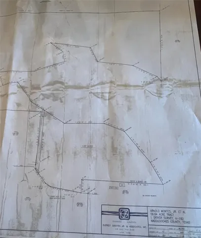 a view of a city with lush green forest