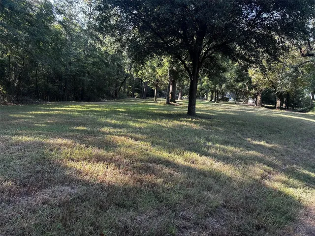 a view of a field with trees