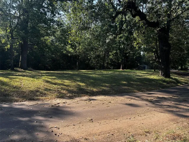 a view of a park with large trees