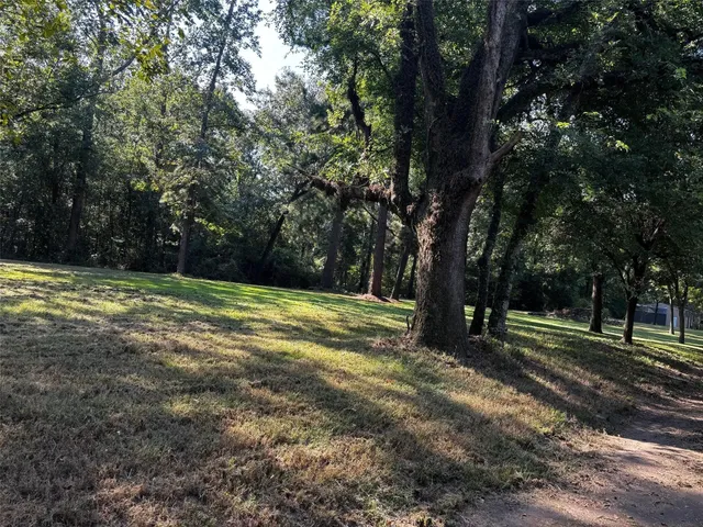 a view of outdoor space with trees all around