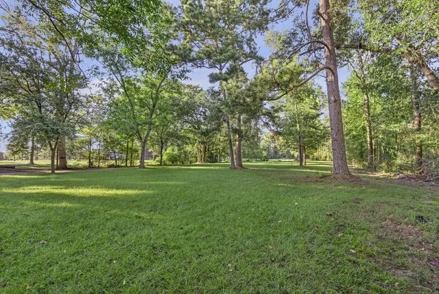 a huge green field with lots of trees