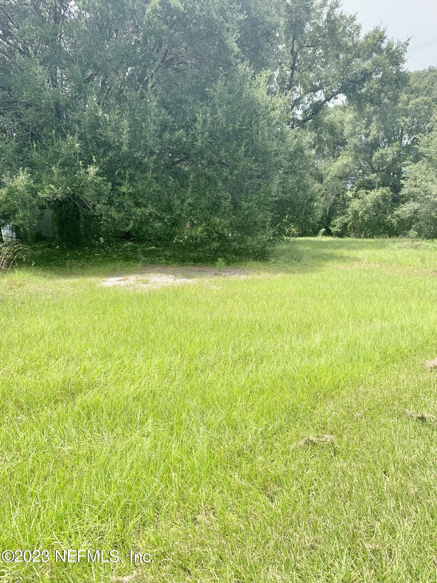 417 Raulerson Road Seville, FL 32190 - Photo 11 of 12 a view of outdoor space and yard