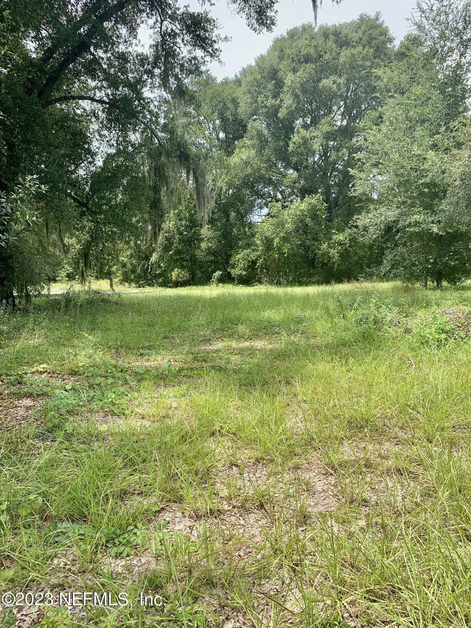 417 Raulerson Road Seville, FL 32190 - Photo 10 of 12 a view of outdoor space and yard