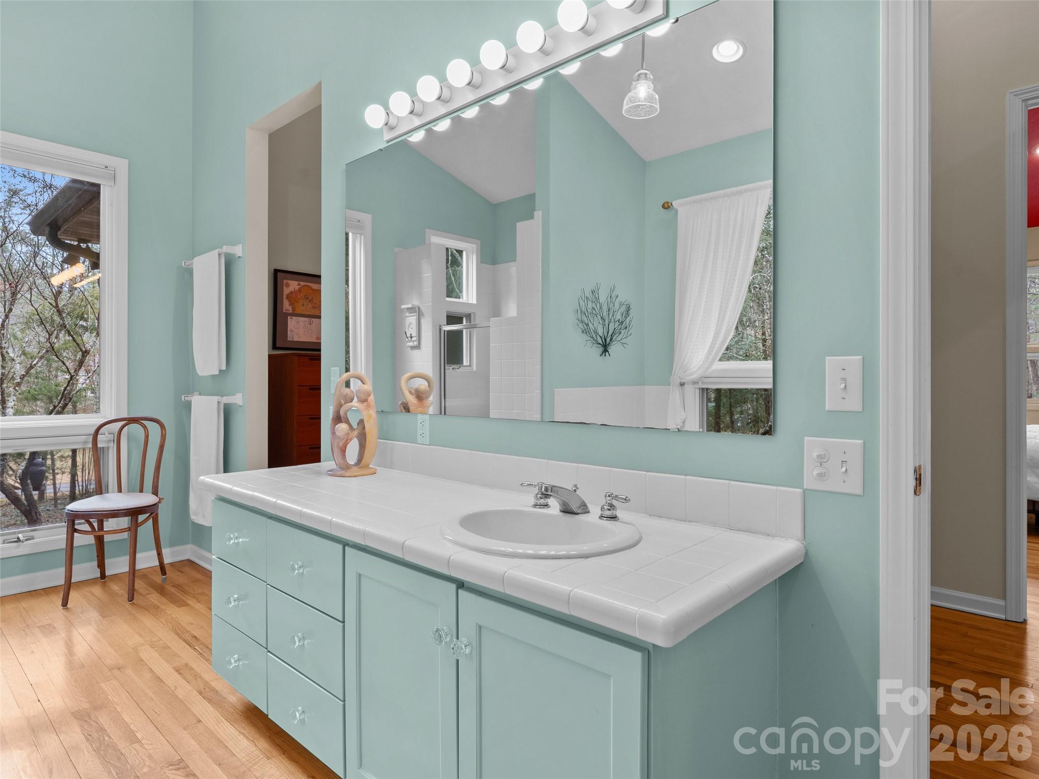 203 Heathcote Road Hendersonville, NC 28791 - Photo 22 of 47 a bathroom with a sink vanity and a mirror