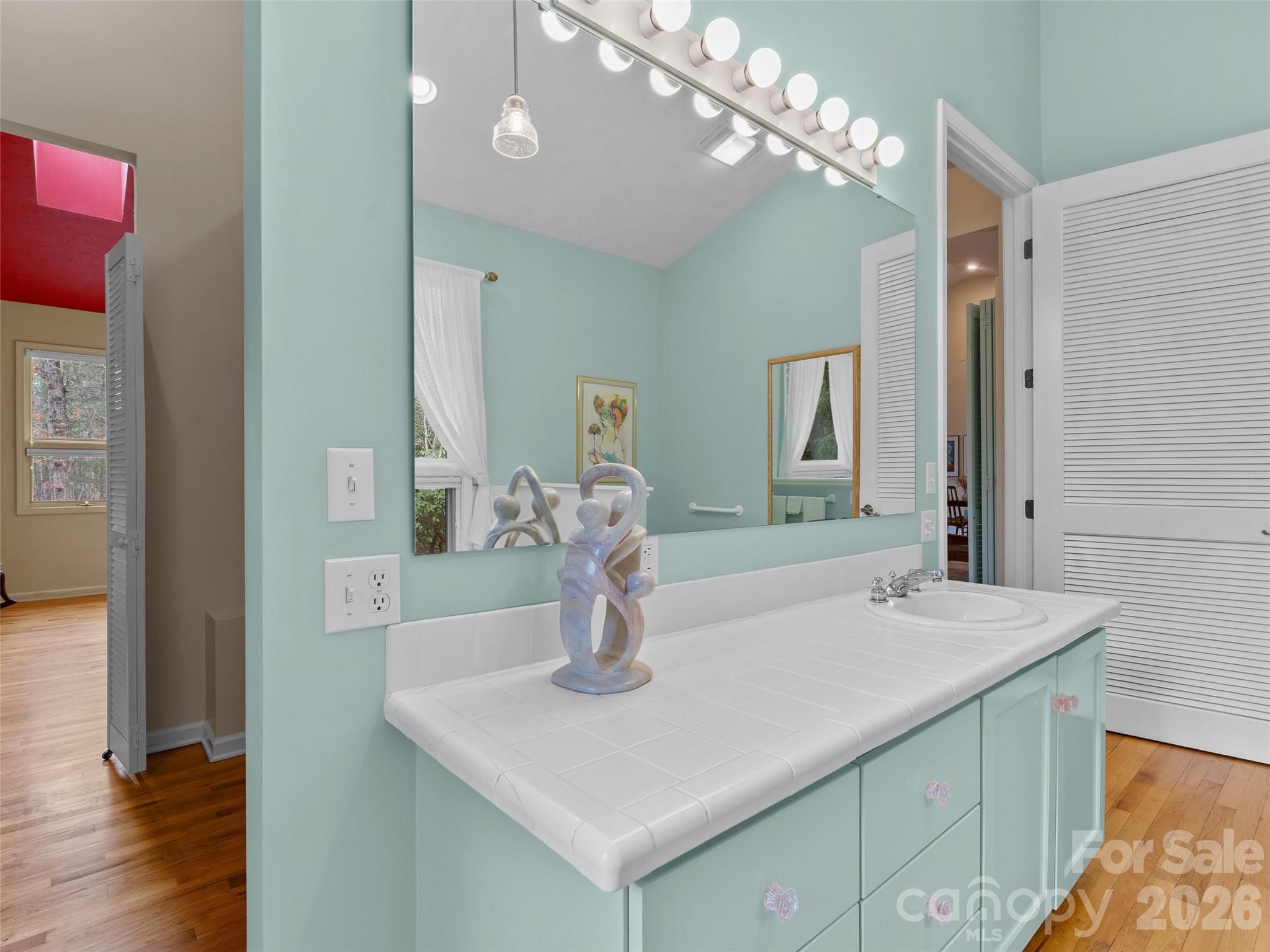 203 Heathcote Road Hendersonville, NC 28791 - Photo 24 of 47 a bathroom with a sink and a mirror