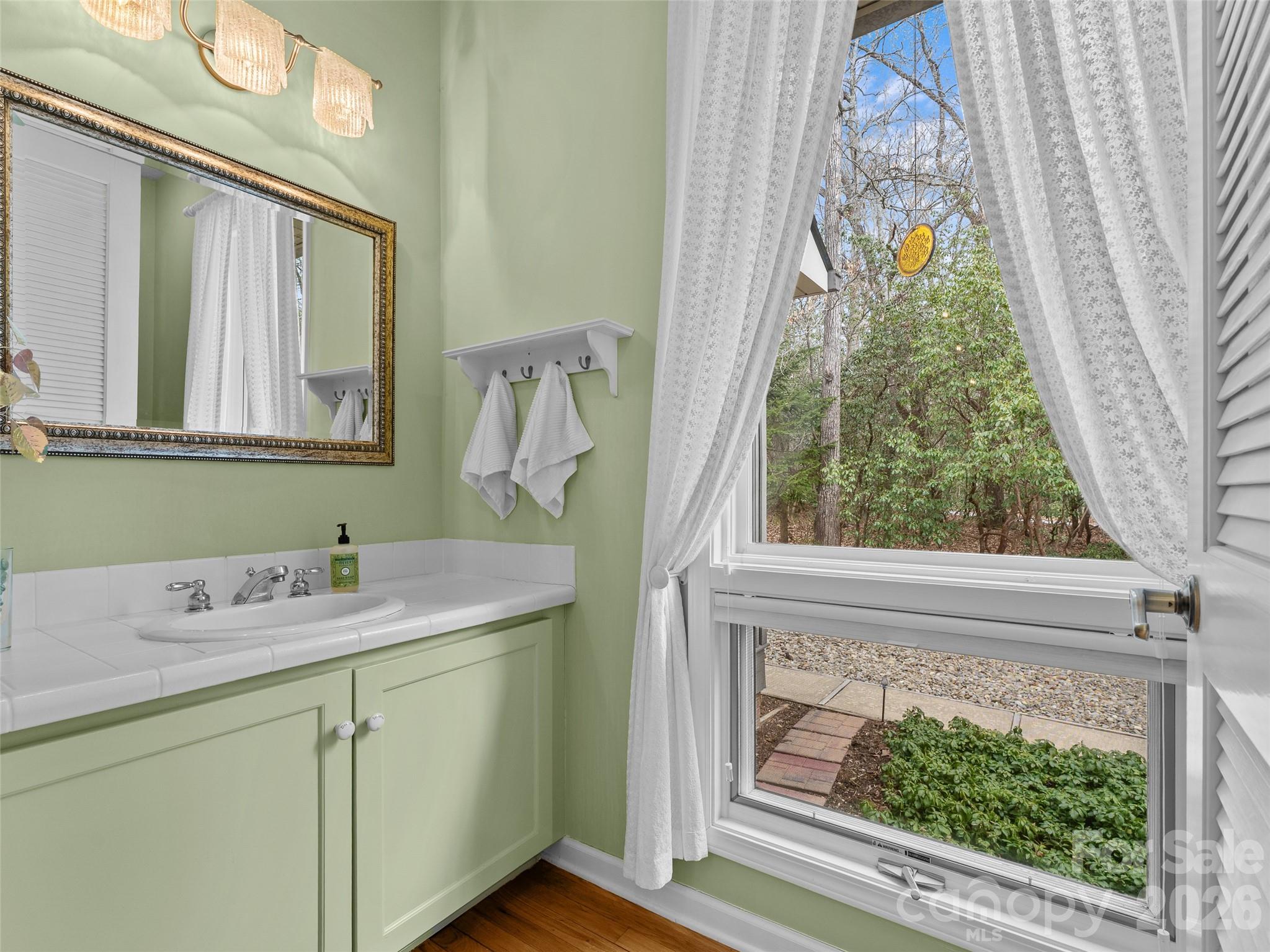 203 Heathcote Road Hendersonville, NC 28791 - Photo 28 of 47 a bathroom with a sink and a mirror
