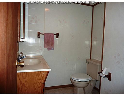 160 Williams Avenue Ripley, WV 25271 - Photo 12 of 16 Lower Level Bathroom.