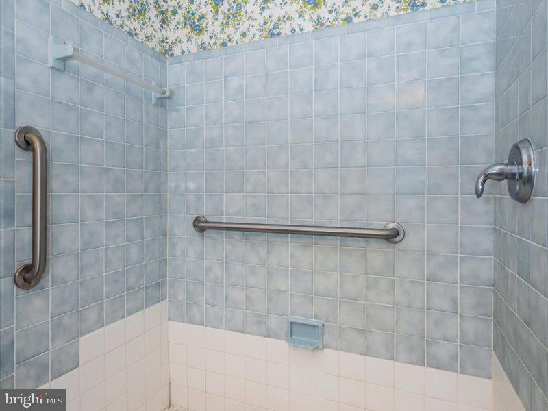 14244 Windy Haven Road Smithsburg, MD 21783 - Photo 35 of 52 large walk in shower