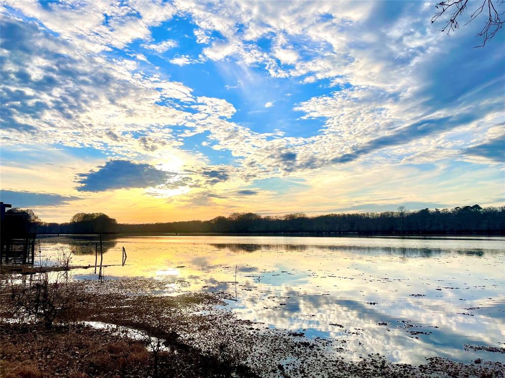 0 Pine Street Heflin, LA 71039 - Photo 2 of 14 Gorgeous lakefront view
