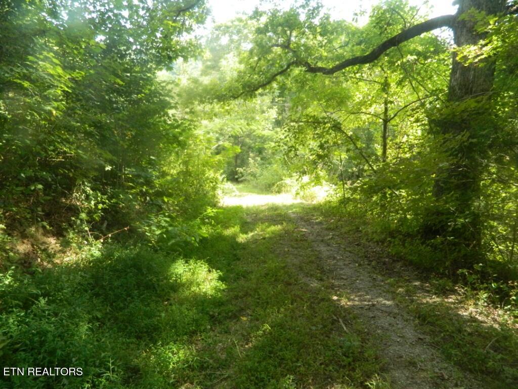 72 9.00 Road Luttrell, TN 37779 - Photo 5 of 9 DSCN9265