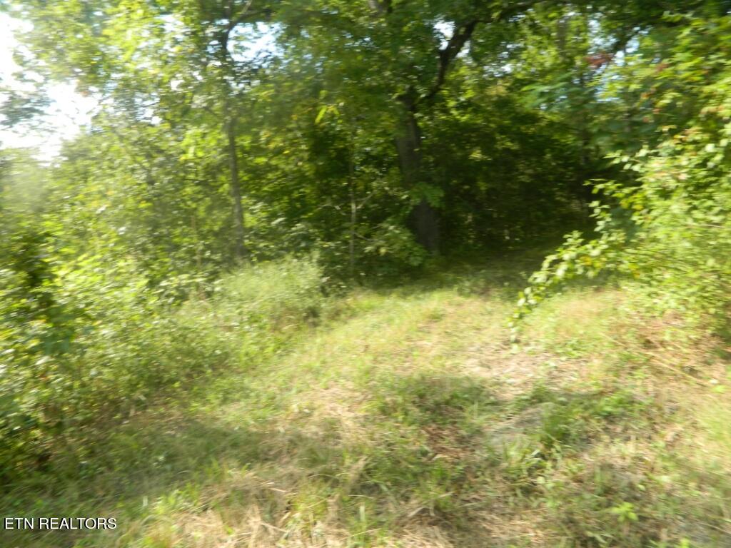 72 9.00 Road Luttrell, TN 37779 - Photo 7 of 9 DSCN9267