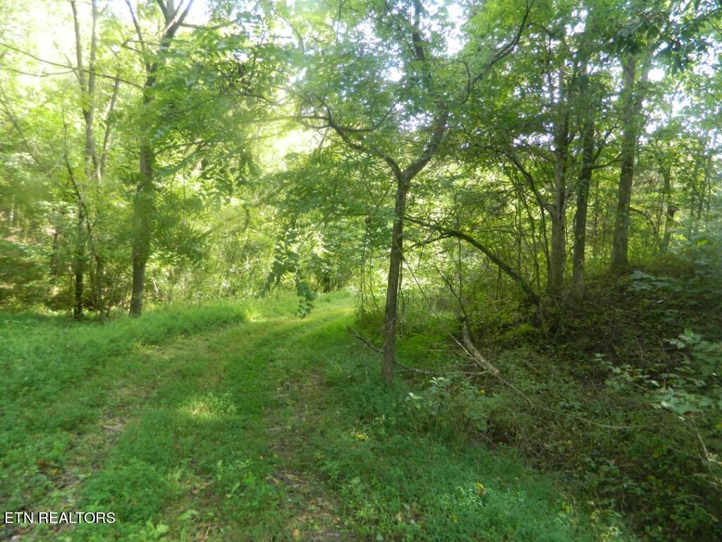 72 9.00 Road Luttrell, TN 37779 - Photo 8 of 9 DSCN9268