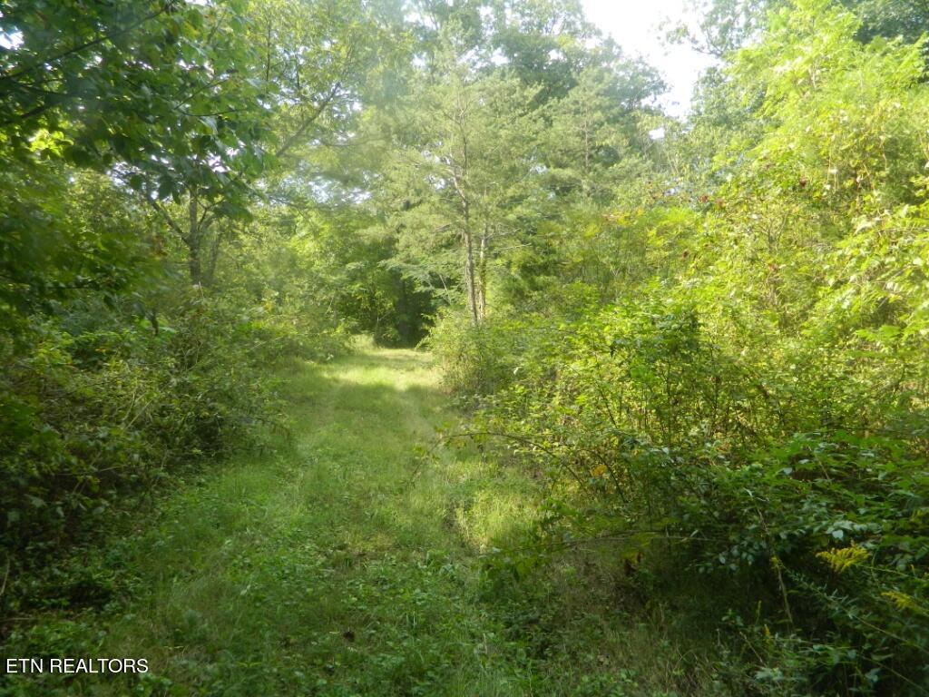 72 9.00 Road Luttrell, TN 37779 - Photo 9 of 9 DSCN9269