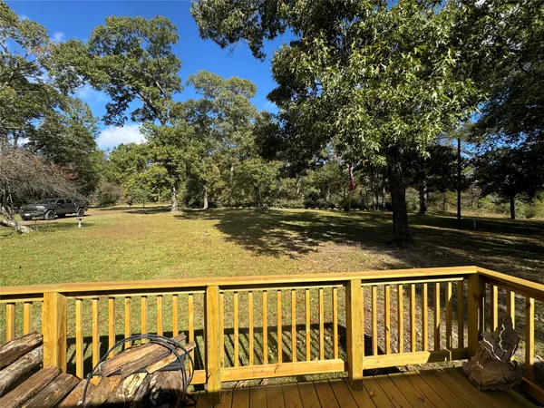 a view of a tree in a yard