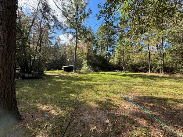 a view of a yard with a tree