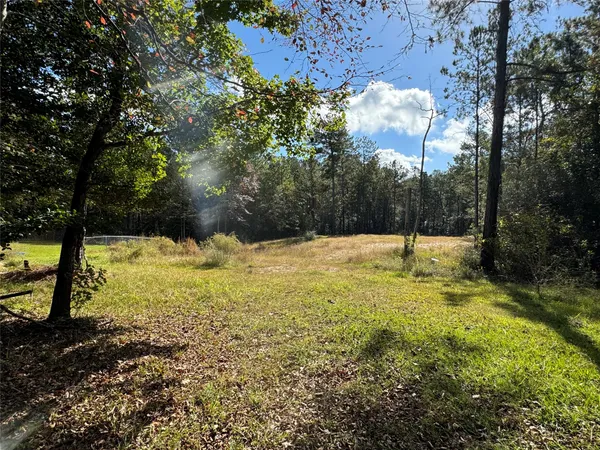 a view of yard with trees