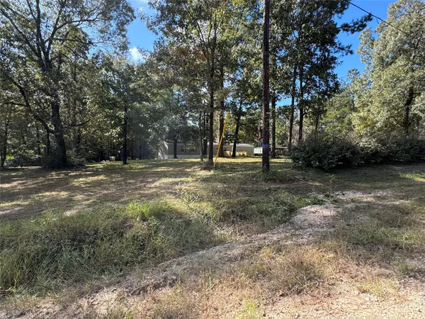 a view of a field with trees
